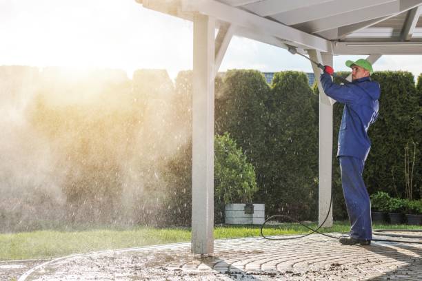 Best Dumpster Area Cleaning  in , MA